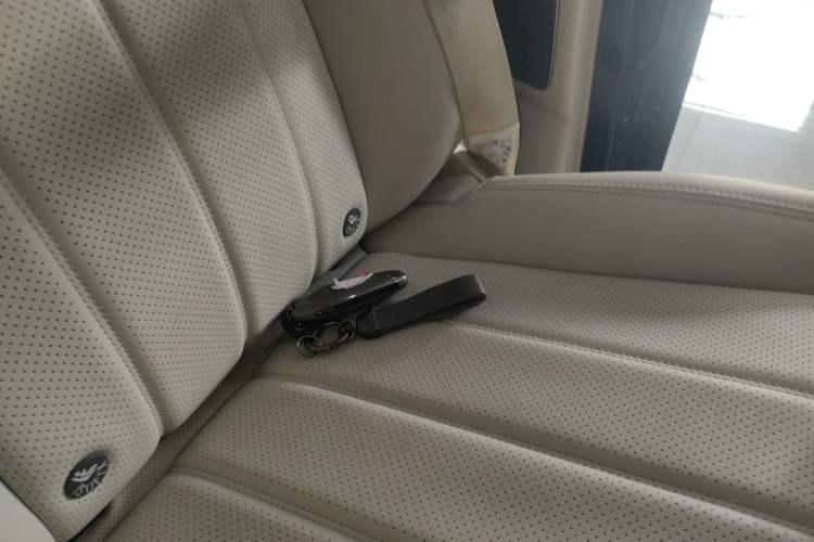 Used VOYAH Dream 2024 PHEV Extended-Range Premium Edition
