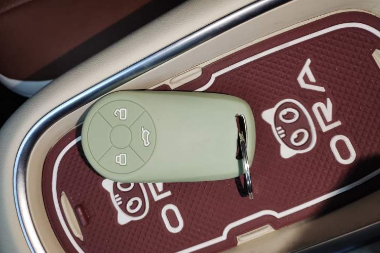 Used ORA Good Cat 2023 401 km Standard Range Luxury Version Lithium Iron Phosphate
