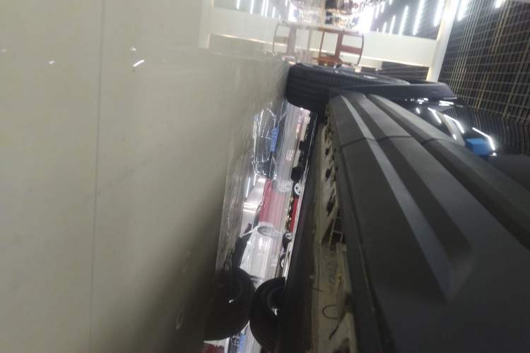 Used  03T 2024 520km Two-Wheel Drive Long-Range Version
