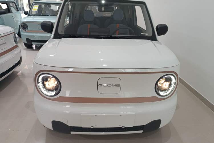 Used  Panda 2024 Panda Mini 200km Endurance Bear
