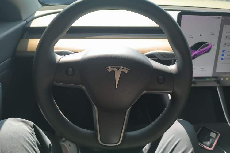 Used Tesla Model 3 2020 Standard Range Rear-Wheel Drive Upgraded Version
