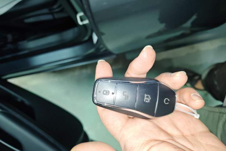 Used BYD Destroyer 05 2023 Champion Edition DM-i 120KM Luxury Model
