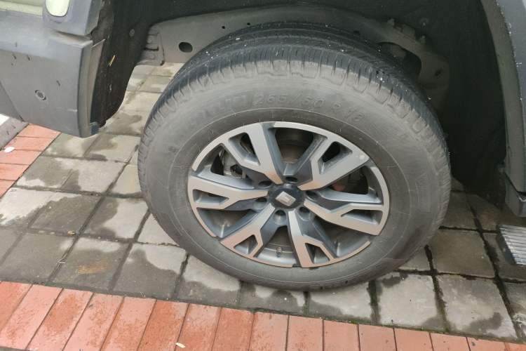 Used Tank 300 2024 2.0T Crosser
