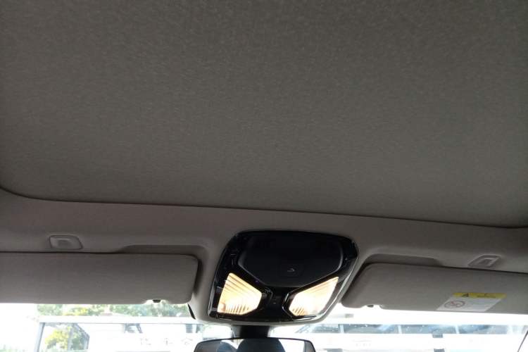 Used BMW 5 Series New Energy 2020 Mileage Upgrade Version 530Le Luxury Package
