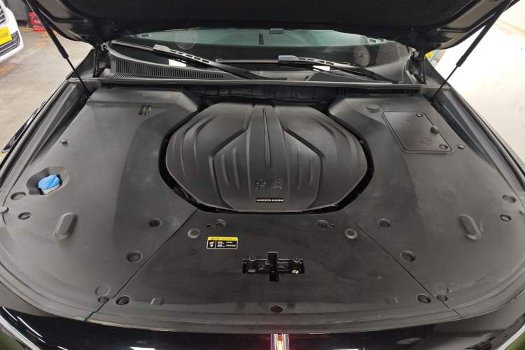 Used Hongqi H9 2020 2.0T Smart Connect Flagship Edition
