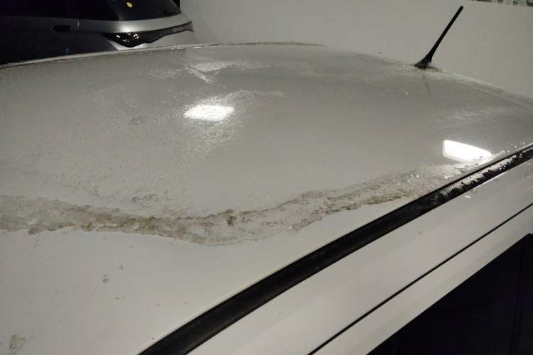 Used Wuling Hongguang MINIEV 2021 Macaron Fashion Model Lithium Iron Phosphate