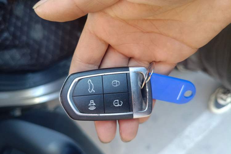 Used BORGWARD BX5 2017 20TGDI Automatic Two-Wheel Drive Leading Edition