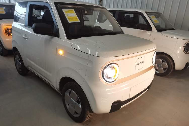 Used  Panda 2024 Panda Mini 200km Endurance Bear

