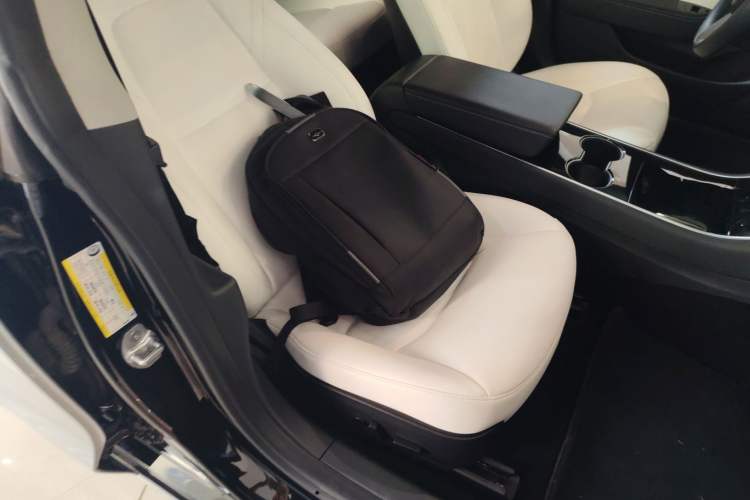 Used Tesla Model 3 2020 Standard Range Rear-Wheel Drive Upgraded Version