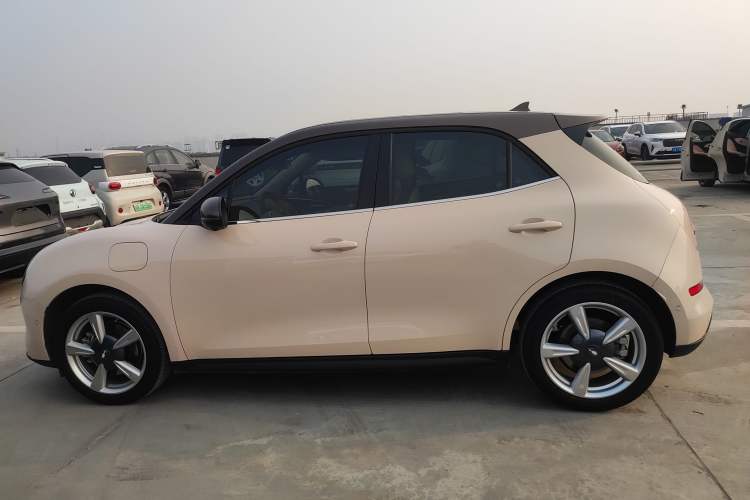 Used ORA Good Cat 2021 400km Standard Range Athena Edition Lithium-Ion Battery
