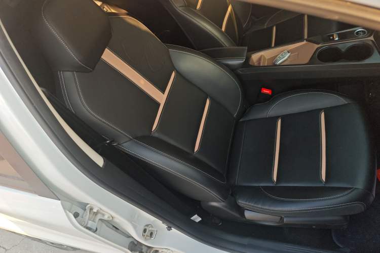 Used SOL E10X 2022 Flower Fairy Design Four-Leaf Clover