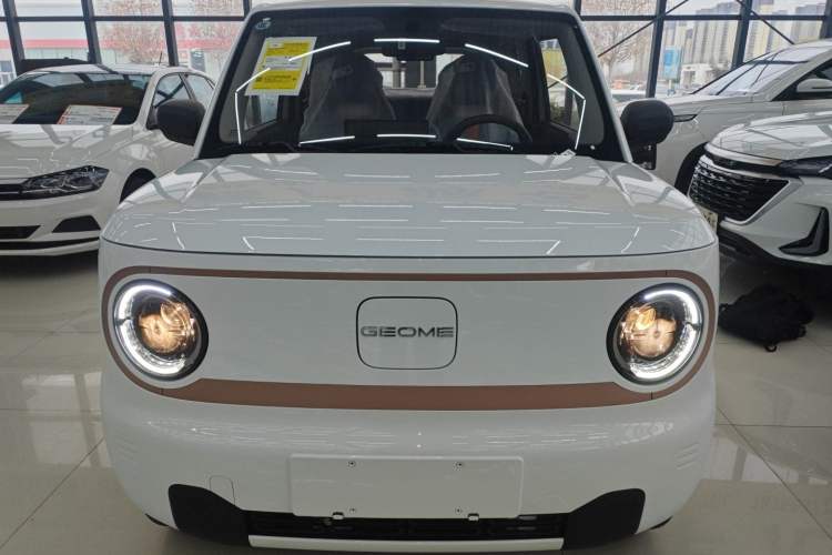 Used  Panda 2024 Panda Mini 200km Endurance Bear
