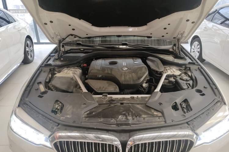 Used BMW 5 Series 2020 530Li Leading Edition Luxury Package
