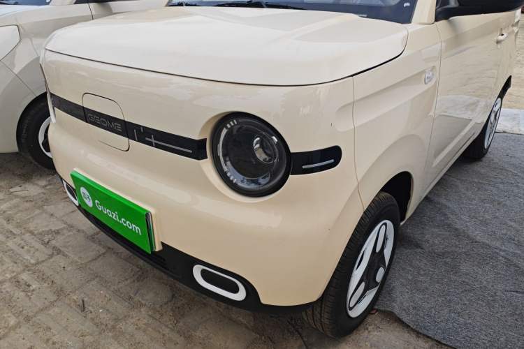 Used  Panda 2025 210 km – Yuanqi Bear