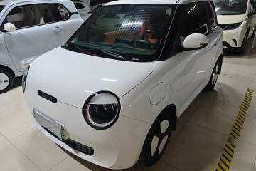 Used Qiyuan Lumin 2025 205 km Xiangqin Version