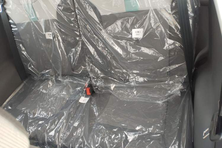 Used  Lumin 2025 205 km Xiangqin Version
