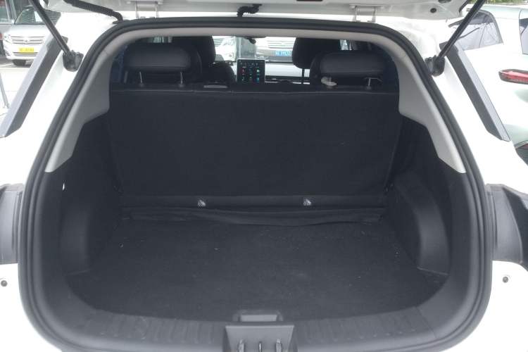 Used NETA V 2021 Long-Range Entertainment Edition Upgrade Model