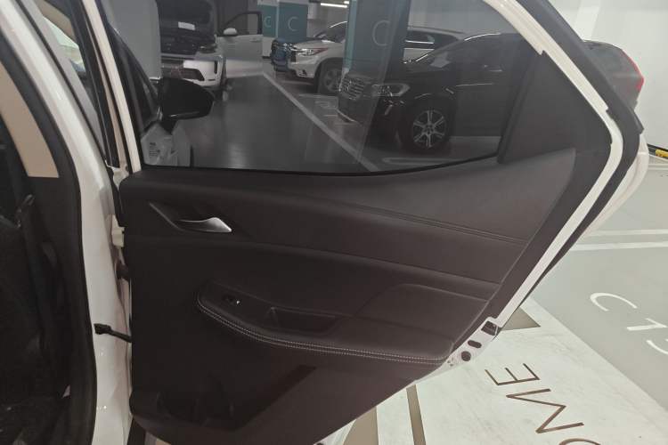 Used BYD Yuan New Energy 2019 EV535 Smart Connect Trendsetting Model
