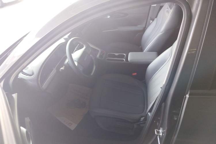 Used  Geome 2025 310km Youth Edition
