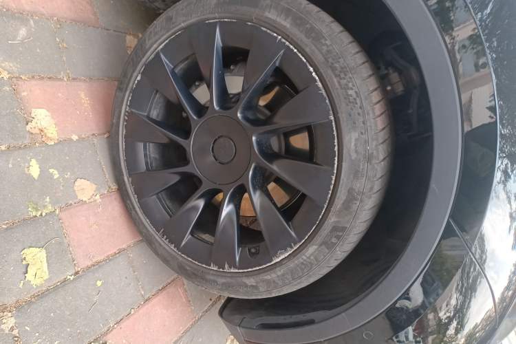 Used Tesla Model Y 2022 Revised Version Long-Range All-Wheel Drive
