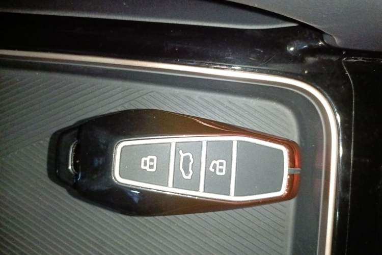 Used  03 2024 501km Range Two-Wheel Drive Long-Range Smart Trend Edition
