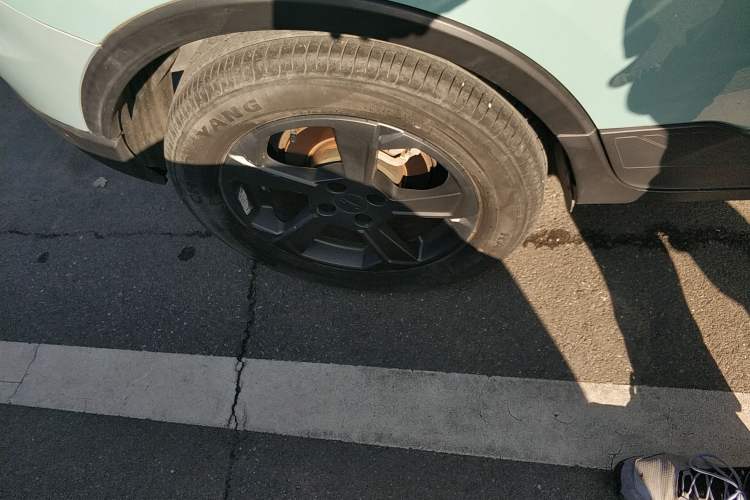 Used Geometry E Firefly 2022 320KM Cute Tiger 4-Seater