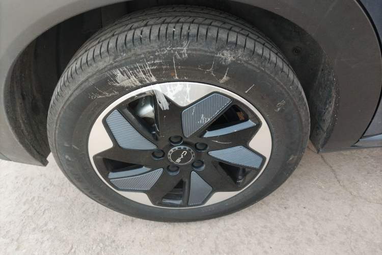 Used BYD Dolphin 2024 Honor Edition 420km Freedom Version
