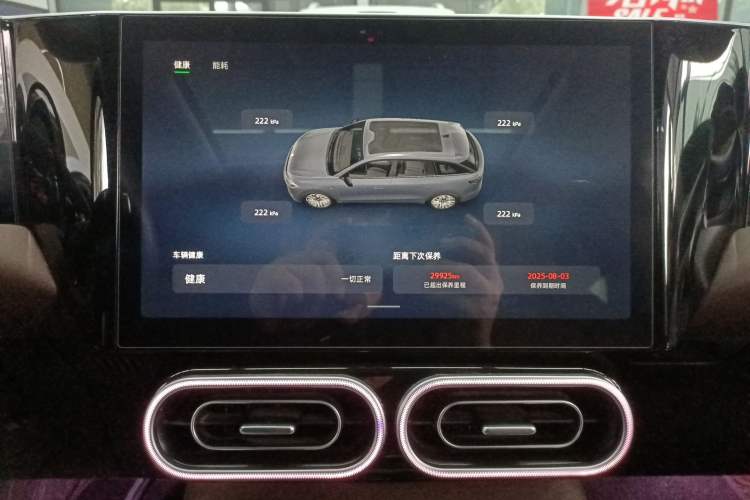 Used Leapmotor C11 2023 Pure Electric 500 Comfort Edition
