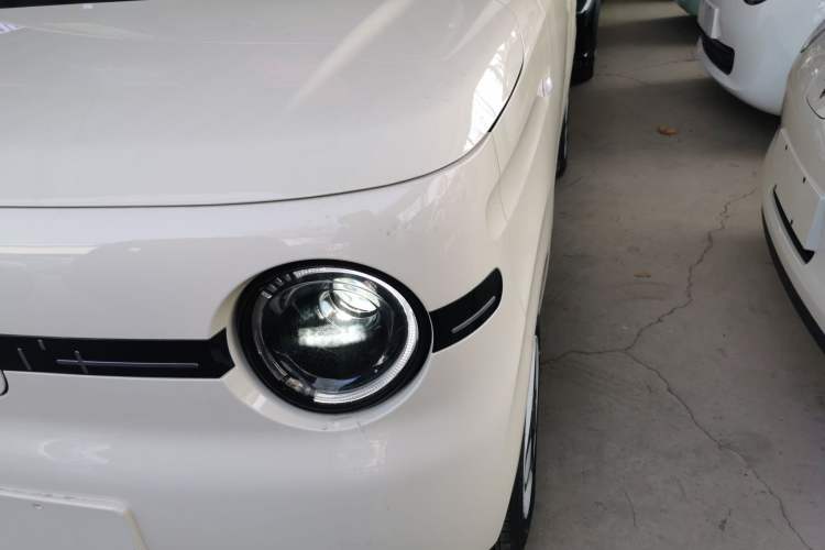 Used  Panda 2025 210 km – Yuanqi Bear
