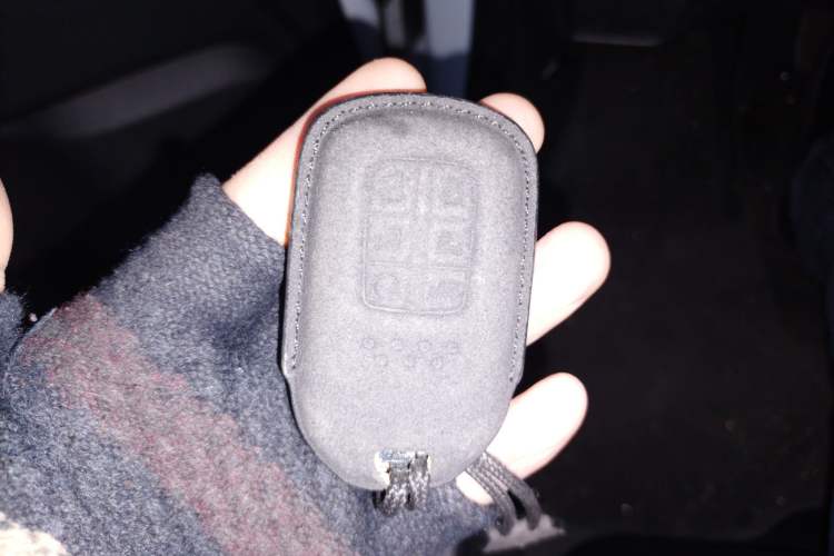 Used Honda Elysion 2024 2.0L eHEV Luxury Edition
