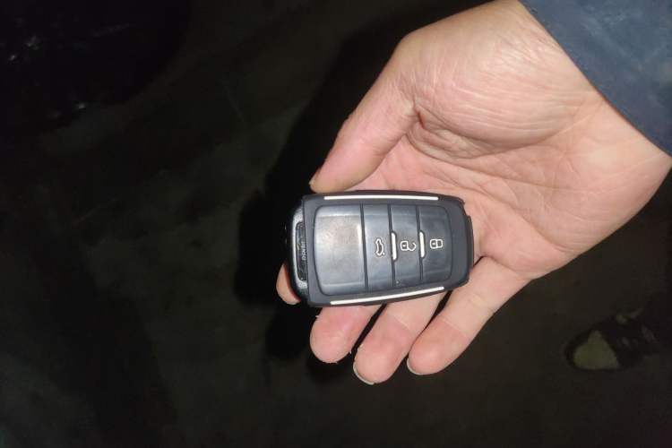 Used Toyota Avalon 2019 2.0L XLE Premium Edition China VI
