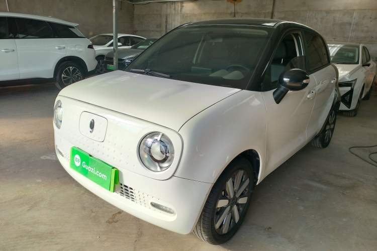 Used ORA Black Cat 2019 351 km Family Edition