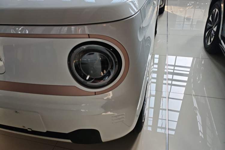 Used  Panda 2023 Panda Mini 200km Endurance Bear
