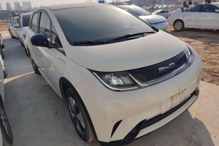 Used BYD Dolphin 2023 420 km Fashion Edition
