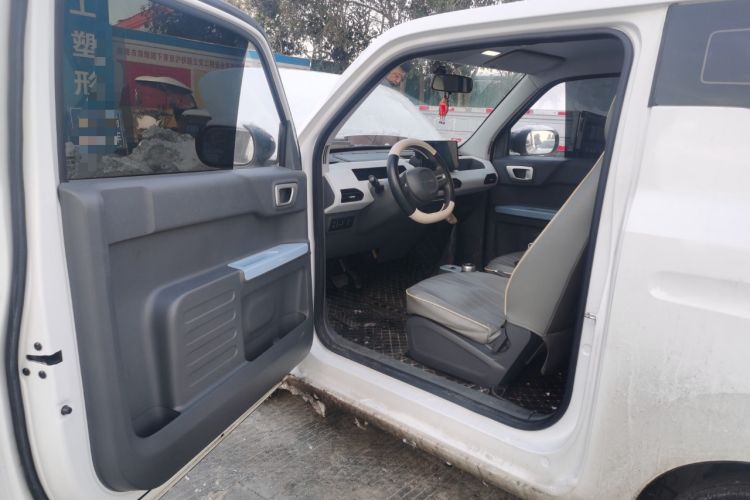 Used  Panda 2023 Panda Mini 200km Endurance Bear