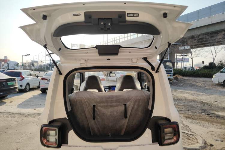 Used  Panda 2024 Panda Mini 200km Endurance Bear