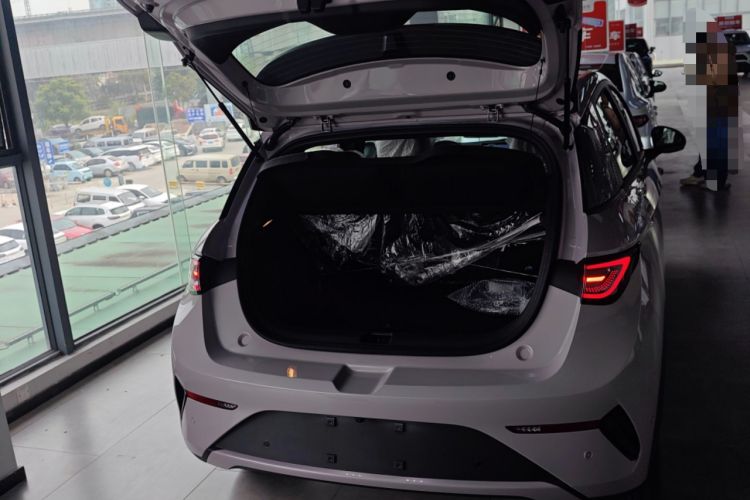 Used BYD Dolphin 2025 Smart Drive Version 420 km Freedom Edition