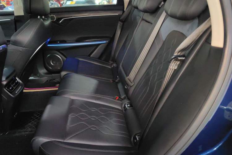 Used VOYAH FREE 2021 Four-Wheel Drive Standard Range-Extended Exclusive Luxury Package
