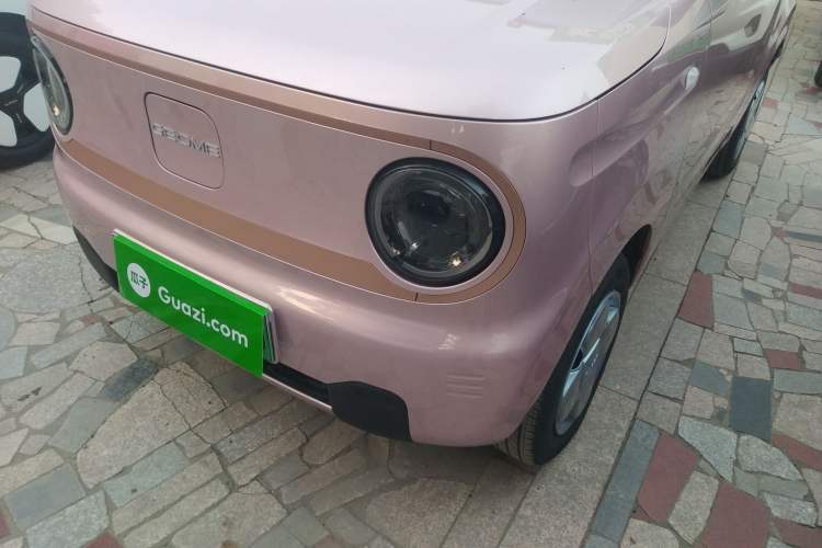 Used  Panda 2024 Panda Mini 200km Endurance Bear
