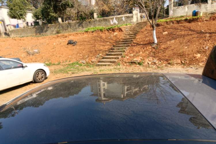 Used  firefly 2025 Illuminated Edition