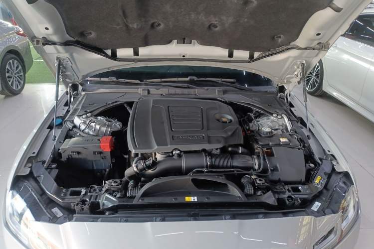 Used Jaguar XFL 2023 XFL 2.0T P250 Two-Wheel-Drive Elite Sport Edition
