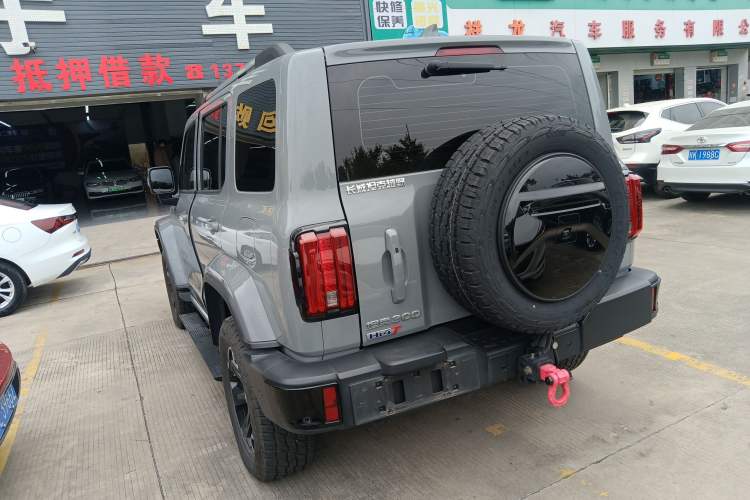 Used Tank 300 New Energy 2024 Hi4-T