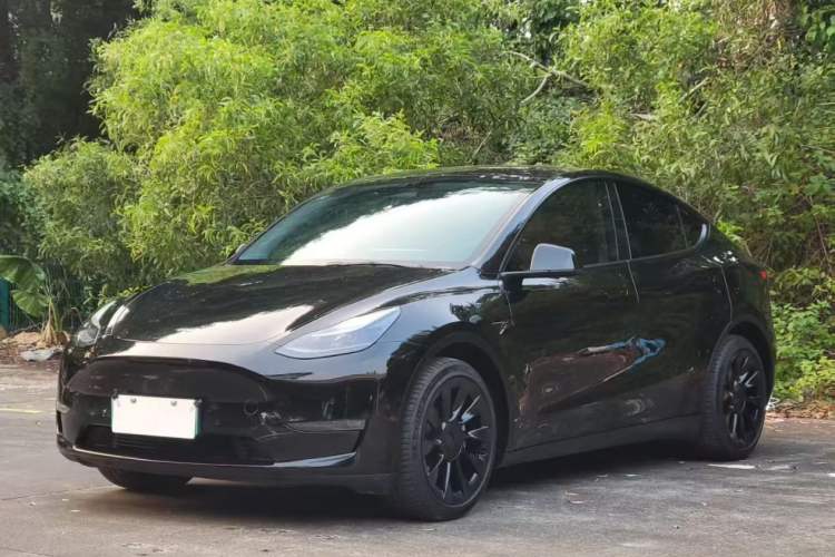 Used Tesla Model Y 2021 Long-Range All-Wheel-Drive Version