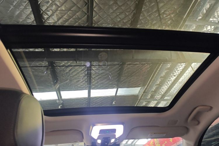 Used Hongqi H9 2020 2.0T Smart Connect Flagship Edition
