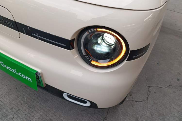 Used  Panda 2025 210 km – Yuanqi Bear
