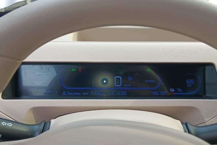 Used  Panda 2023 Panda Mini 200km Endurance Bear
