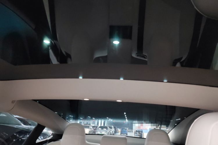 Used Tesla Model 3 2021 Revised Version Standard Range Rear-Wheel Drive Upgraded Edition 3D1
