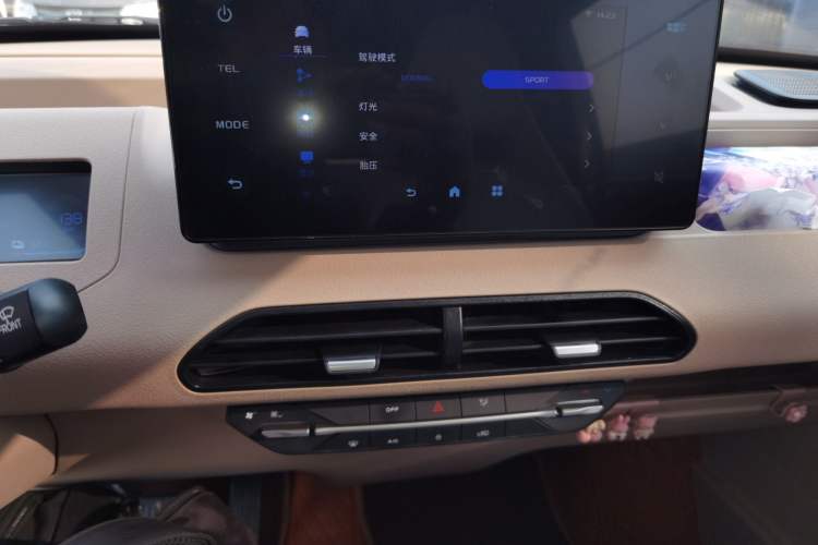 Used  Panda 2024 Panda Mini 200km Endurance Bear