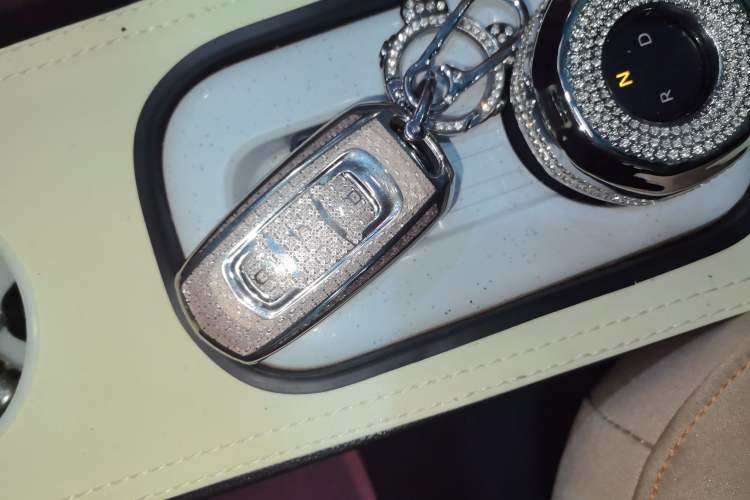 Used  Panda 2023 Panda Mini 200km Dynamic Bear
