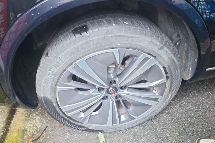 Used Hongqi E-HS9 2021 460 km Range Flagship Edition Six-Seater
